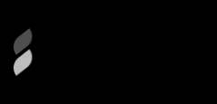 Discovery Group's logo